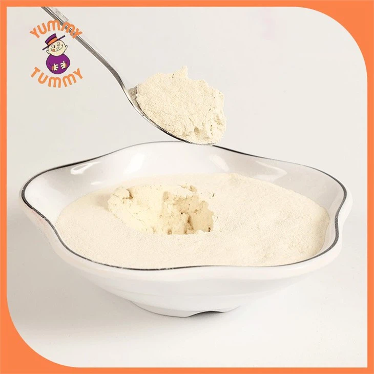 white onion powder (4)